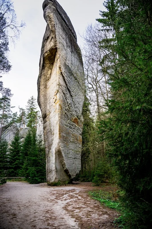 Duża skała w lesie Adrspach Teplice