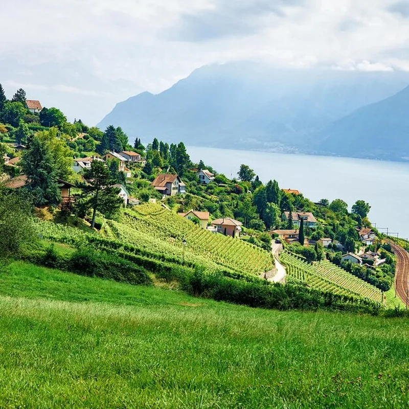 Wieś szlaku turystycznego Lavaux Vineyard Terrace nad Jeziorem Genewskim z górami w Szwajcarii