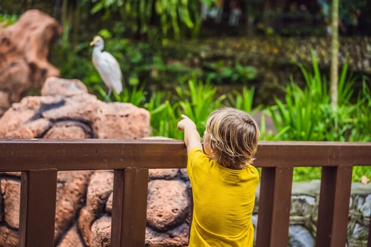 Chłopiec bawi się na placu zabaw w ptasim parku Edukacyjnym