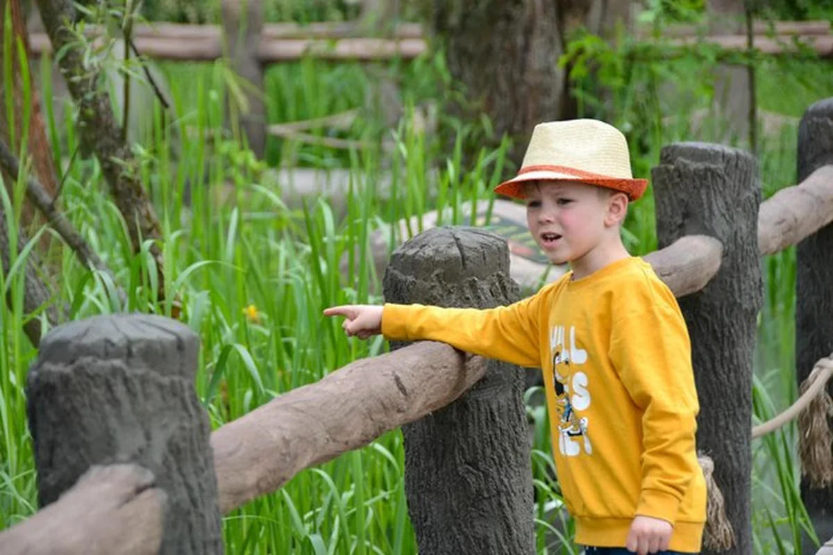 Dzieci bawiące się na karuzeli w parku rozrywki