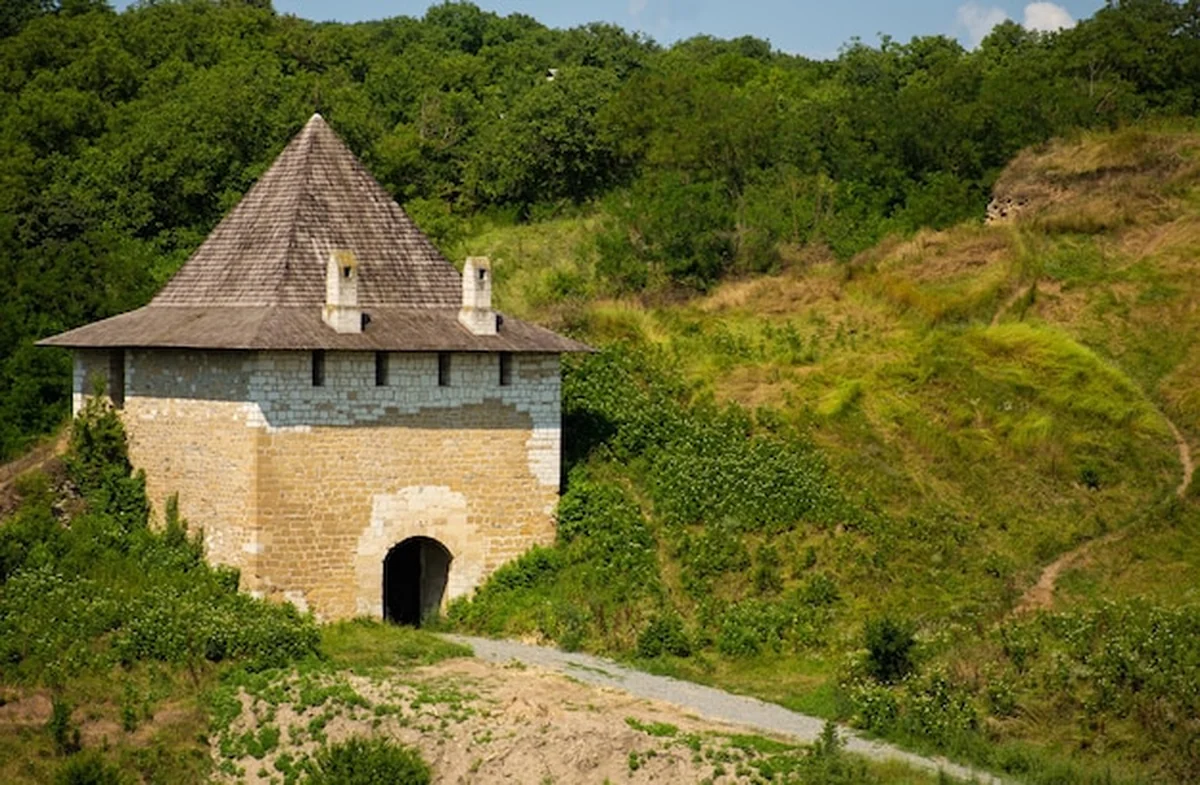 Stary średniowieczny zamek na tle zielonego pola w lecie