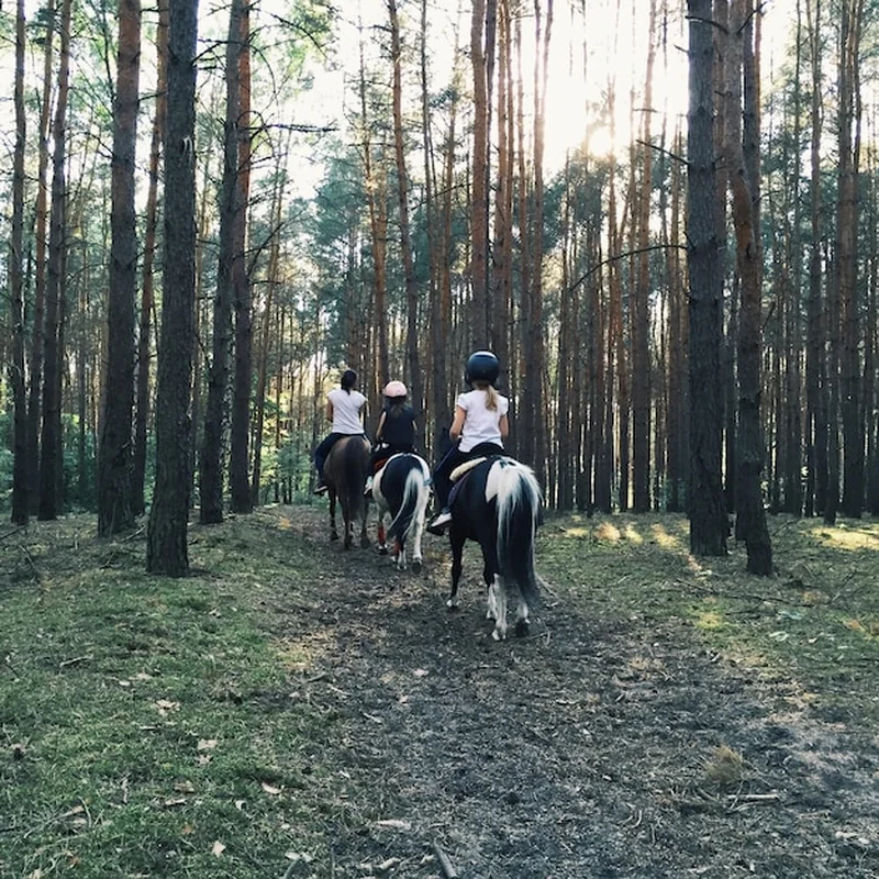 Kobiety na koniach w lesie