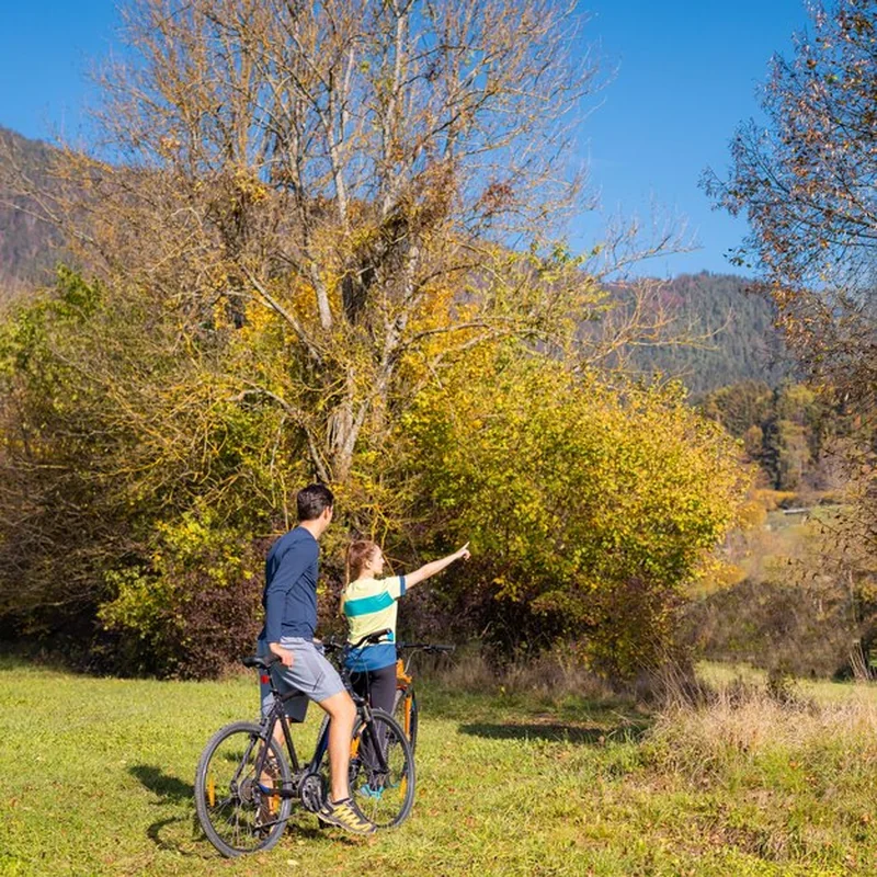 Młoda kobieta i mężczyzna jeżdżący na rowerze w górach i kolorowych lasach