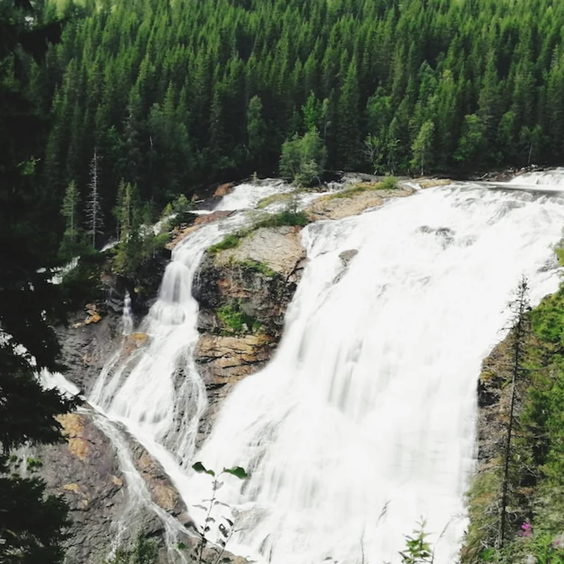 Widok wodospadu w lesie