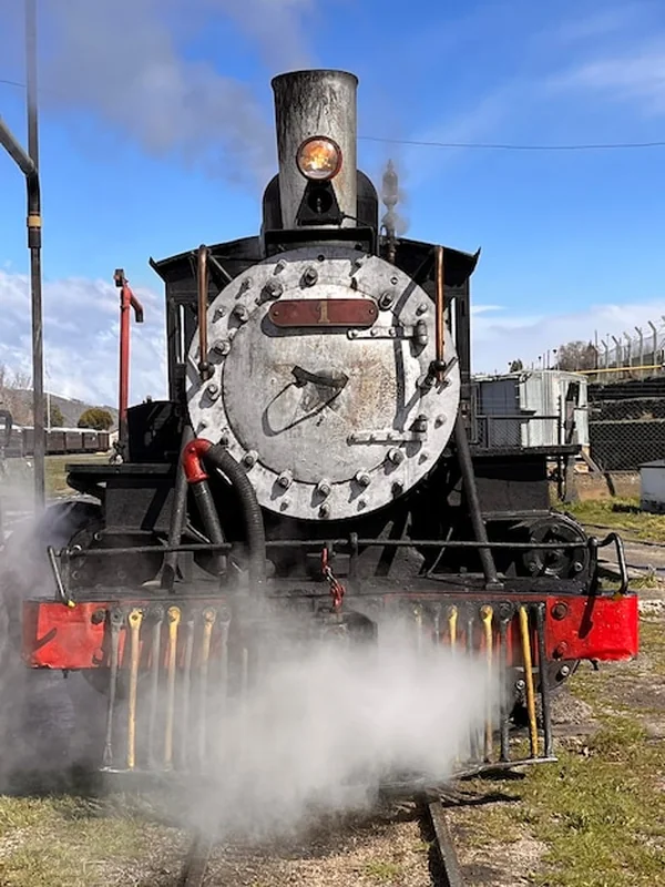 Stara lokomotywa w Patagonii, Argentyna