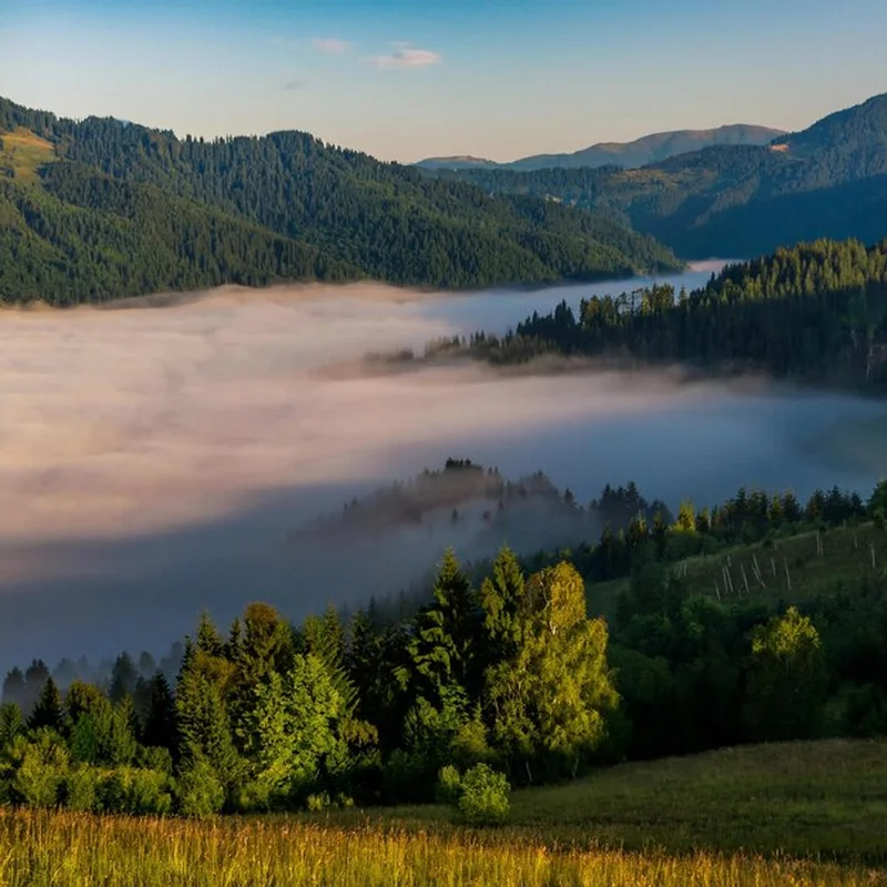 Zalesione wzgórza otoczone mgłą pod chmurnym niebem