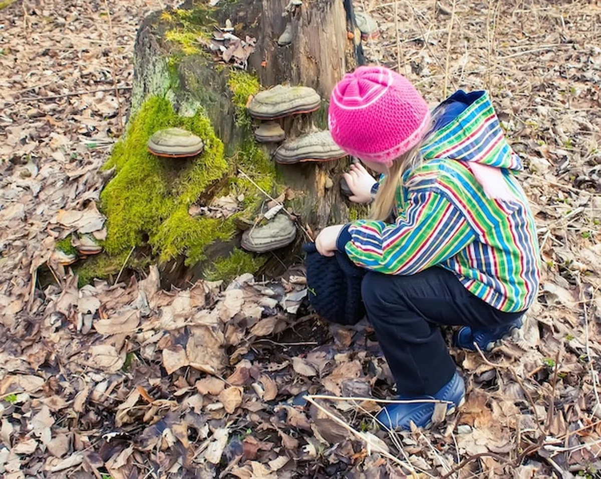 Mała dziewczynka obok drzewa z mchem i grzybami w lesie