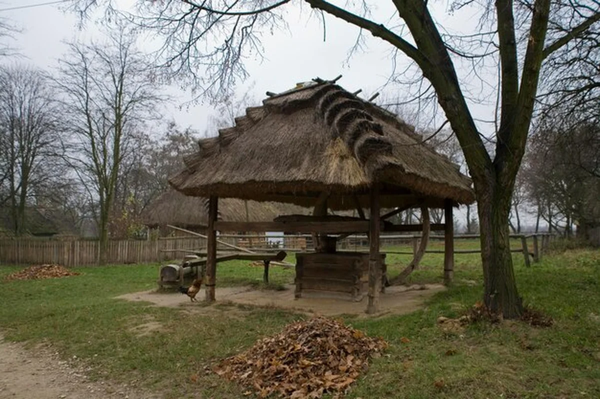 Stary wiejski drewniany dom w jesienny dzień