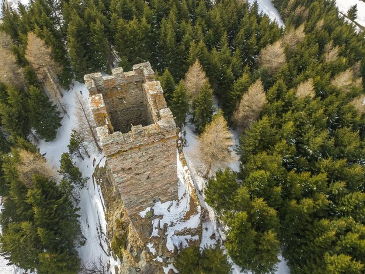 Wysoki kąt widoku zamku przez drzewa